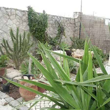 Ocean View Oda ve Kahvaltı 2*